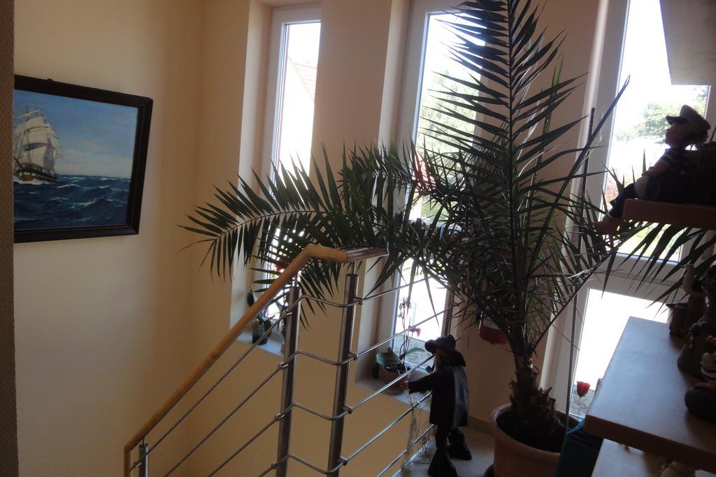 Fritzis Haus Apartment Dierhagen Bagian luar foto